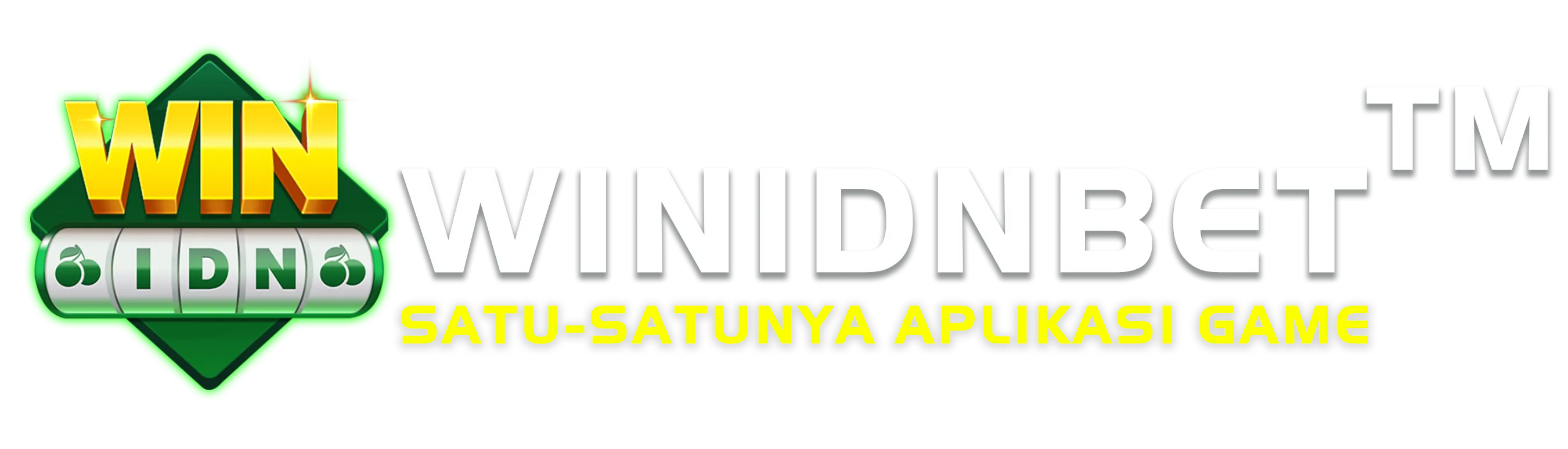 Logo winidn